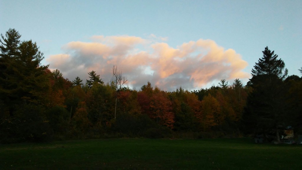 A baby blue sky behind a warm pastel cloud behind a forest of mixed fall foliage behind a dark green stretch of grass.