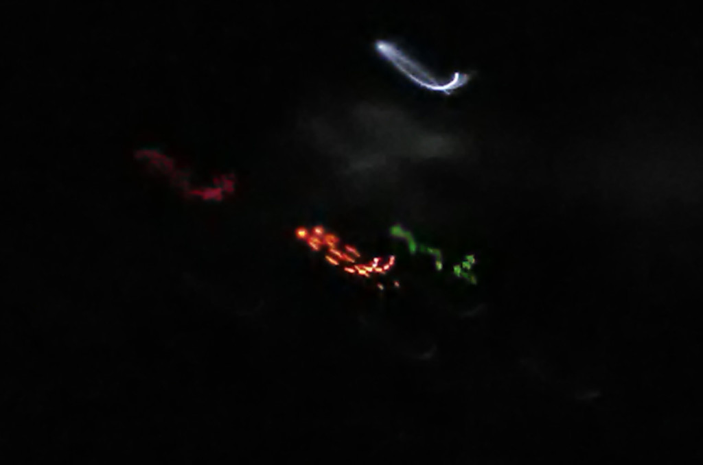 I photographed four streaks of light in darkness: red, orange, green, and white, and a faint , misty white blur.