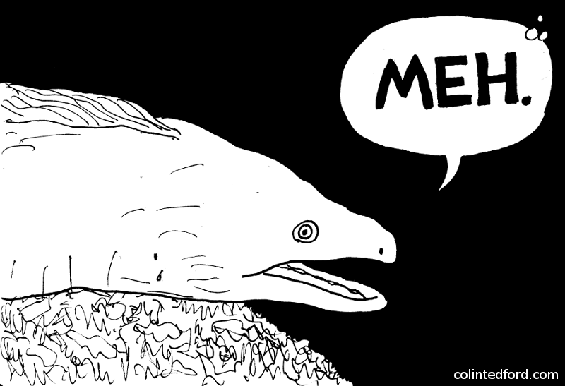 I drew a moray eel saying, "Meh."