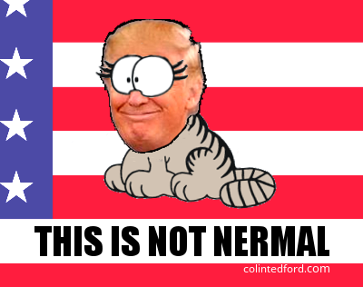 I made a meme pic of Donald Trump's head on the body of Nermal (the kitten from Garfield) with Nermal's eyes, superimposed on part of the USA flag with the words THIS IS NOT NERMAL.